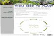 Lesson 5: From Seed to Plant