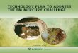 Technology Plan to Address the EM Mercury Challenge (5.55 MB)