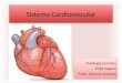 Fisiologia - Sistema Cardiovascular