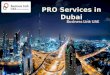 Pro services in Dubai