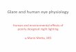 Glare and Human Eye Physiology
