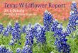 Texas Wildflower Report - 2016 Season Outlook - EquipU