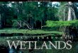 Texas Treasures: Wetlands booklet