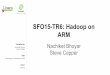 SFO15-300: Server Ecosystem Day -Big Data on ARM