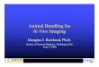 Animal Handling for In Vivo Imaging