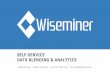 Wiseminer Data Blending, Data Preparation & Analytics