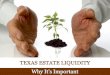 Texas Estate Liquidity: Why It's Important