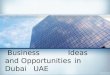 Business ideas and opportunities in Dubai UAE
