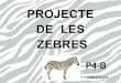 Projecte  zebres P4B