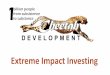 Cheetah Development Investor Summary FINAL