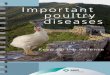 Booklet poultry-diseases-interactv-1-copy