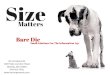 Size Matters Bare Die Small Solutions For The Information Age