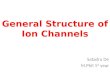 General Structure of Ion Channels
