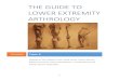 LE arthrology guide_final_pdf