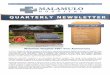 MH Newsletter Issue 1 Vol 2