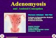 Adenomyosis and Assisted Conception