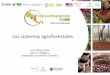 S3.p1.3 Los sistemas agroforestales, una alternativa para mitigar y adaptarse al cambio climático