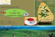 Ceylon tea expand japan