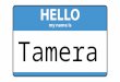 Visual Resume - Tamera Werkheiser