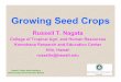 Growing Seed Crops