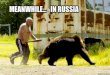 Only in Russia: funniest photo collection