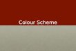 Presentation on colour scheme