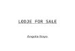 Lodje For Sale-Soyo -Angola