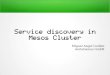 Service discovery in mesos