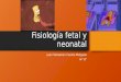 Fisiología fetal y neonatal