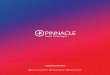 Pinnacle - ERP Software Dubai, IT Support and Infrastructure