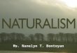 Philisophy of Naturalism