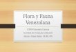 Flora y fauna venezolana