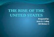 The rise of the united states