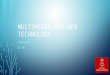 Multimedia Web Technology (MMWT)