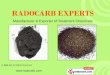 Granular Activated Carbon by Ashi Inc New Delhi
