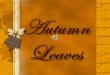 Dennys Autumn Leaves NOV 2015
