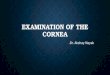 Examination of cornea