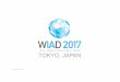 World IA Day 2017 Tokyo