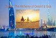 Dubai  the alchemy of desert  sea tamika official