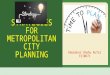 Strategies for metropolitan planning