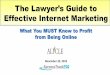 Lawyer's Guide to Effective Internet Marketing