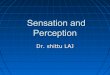 Physiology of Special Senses and Perception