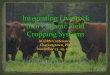 Integrating livestock into cropping system