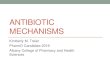 Antibiotic Mechanisms