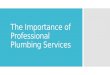 The Importance of Professional Plumbing Services