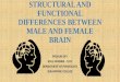Male Brain Vs Female Brain!
