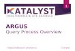 ARGUS Query Process Overview_Katalyst HLS