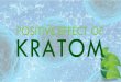 Positive effects of kratom