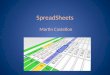 Spread sheets and linkedin