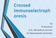 Crossed immunoelectrophoresis